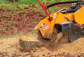 Best Aeration Services  in Clyde Hill, WA