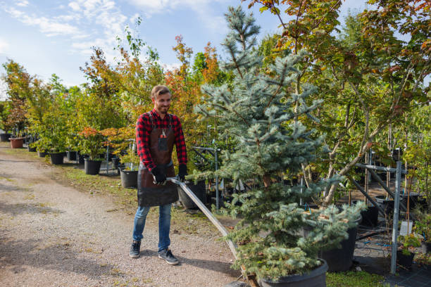 Best Pest Control for Lawns  in Clyde Hill, WA
